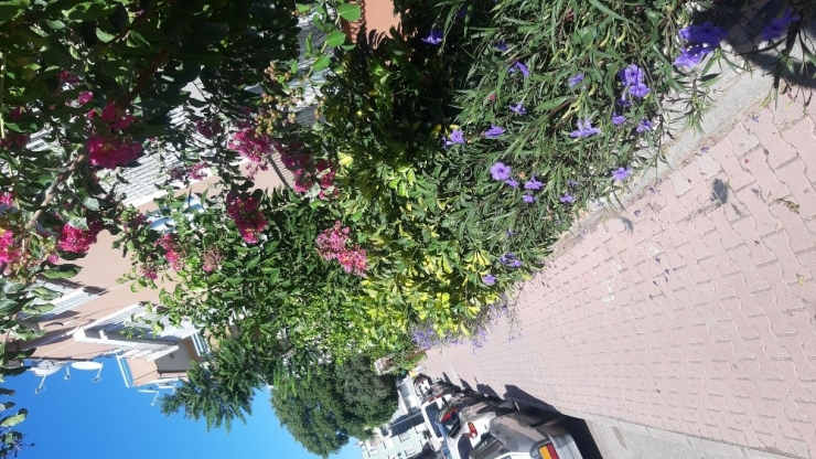 Mangal Yaparken Yangın Çıkardılar