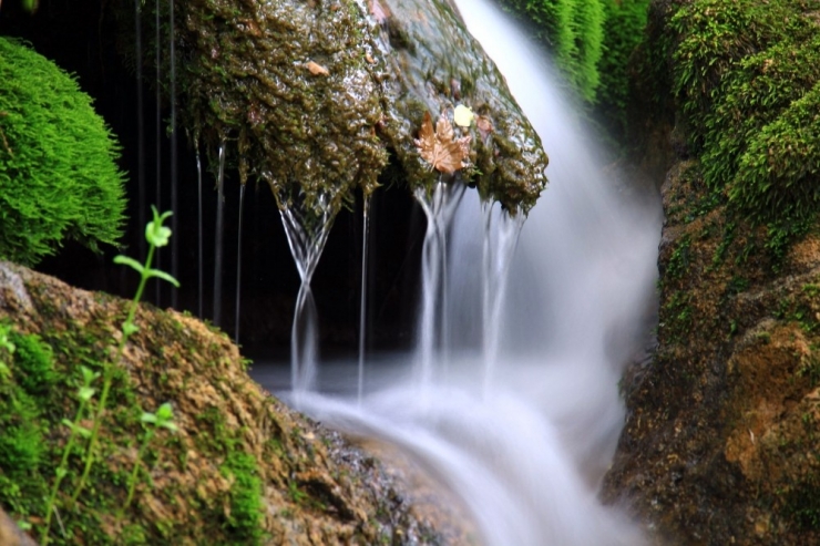 160’dan Fazla Kelebek Türüne Ev Sahipliği Yapıyor
