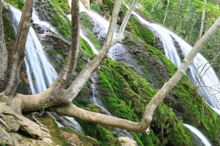 160’dan Fazla Kelebek Türüne Ev Sahipliği Yapıyor