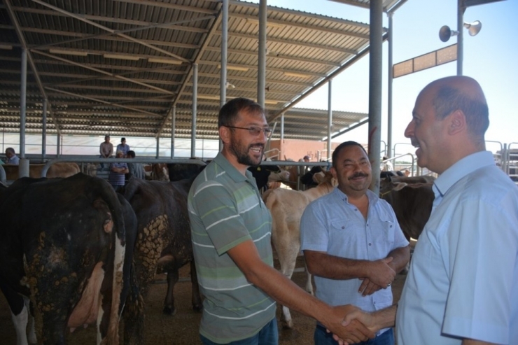 Başkan Bozkurt Kurban Pazarını Ziyaret Etti