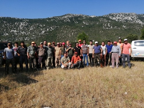 Çiftçileri Bıktıran Yaban Domuzları İçin Mücadele Maksatlı Sürek Avı