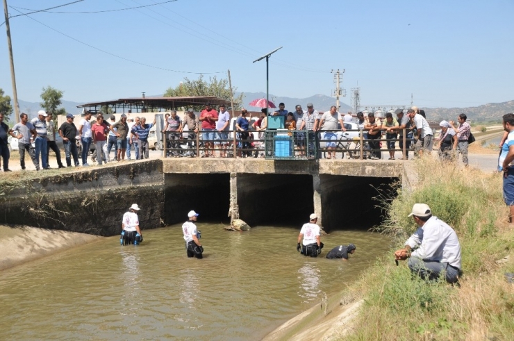 Bayrama Birlikte Girmek İsterken, Ölüme Birlikte Gittiler