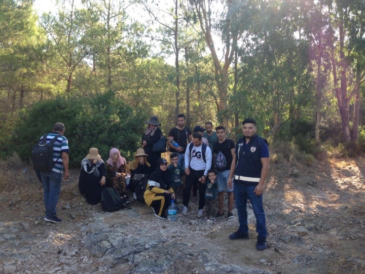 Lüks Araç İle Göçmen Kaçakçılığı Jandarmaya Takıldı