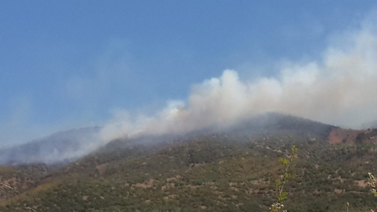 Ödemiş’te Orman Yangını