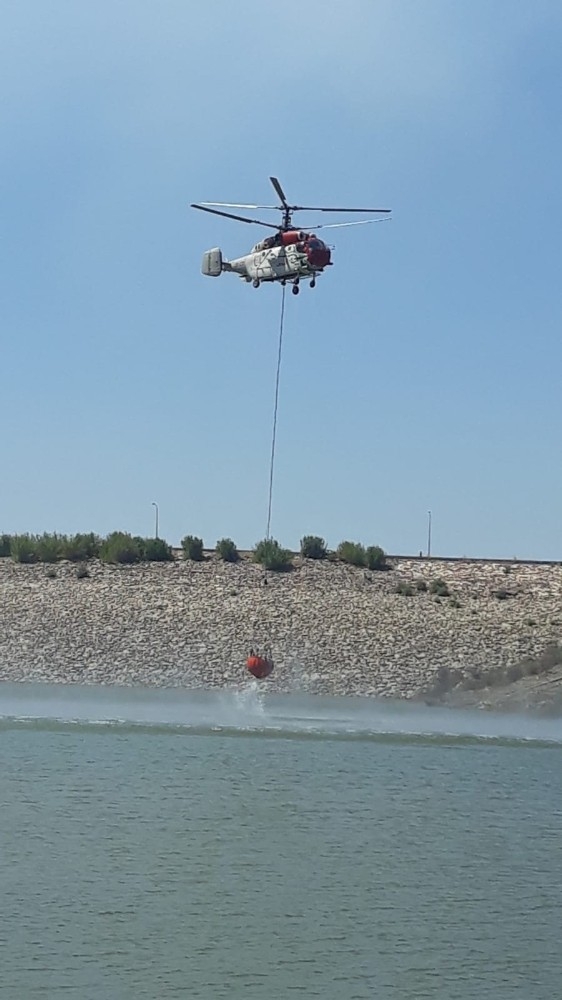 Ödemiş’te Orman Yangını: Yangın Kontrol Altına Alındı