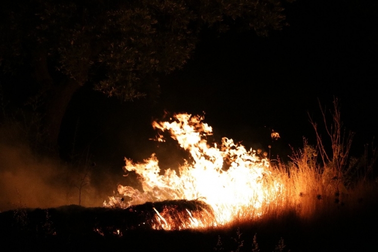 Havai Fişekler Yangına Sebep Oldu