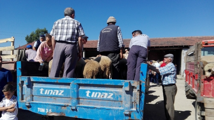 Kurbanlıklar Elde Kaldı