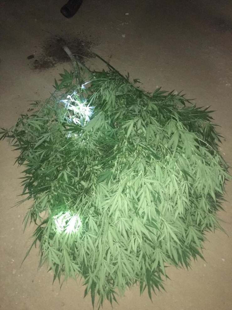 Sarıgöl’de Uyuşturucu Operasyonu