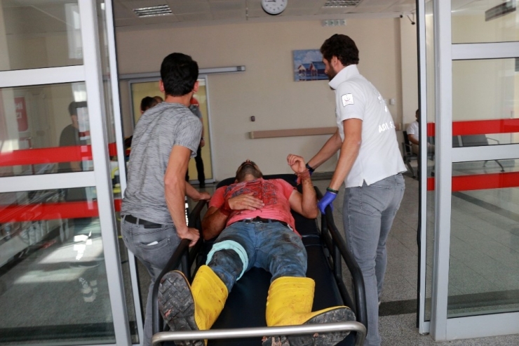 Acemi Kasaplar Kurbanlık Yerine Kendilerini Kesti