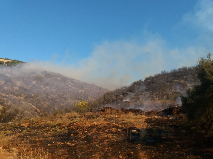 Afyonkarahisar’ın Başmakçı İlçesinde Çıkan Orman Yangını Sabaha Karşı Kontral Altına Alındı
