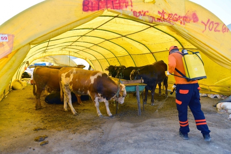 Kurban Satış Yerlerinde Hijyen
