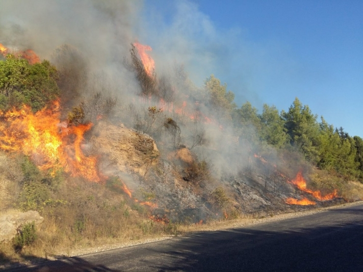 Manavgat İlçesi Bayrama İki Büyük Yangınla Girdi