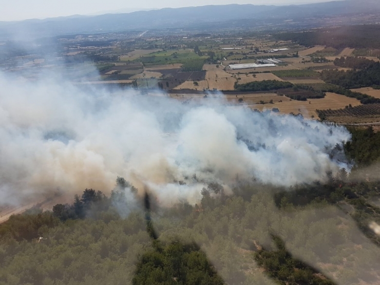 Balıkesir’de Orman Yangını