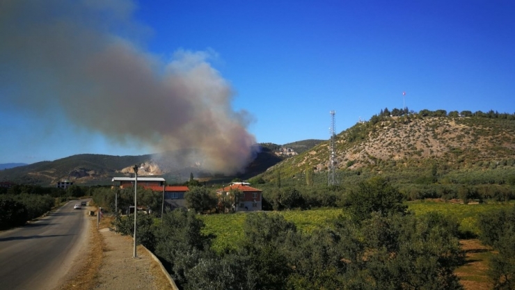İznik’te Orman Yangını