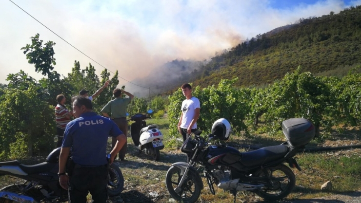 İznik’teki Orman Yangını Kontrol Altına Alındı