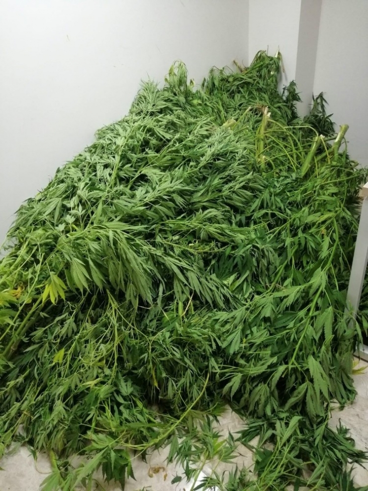 Dalaman’da Uyuşturucu Operasyonu