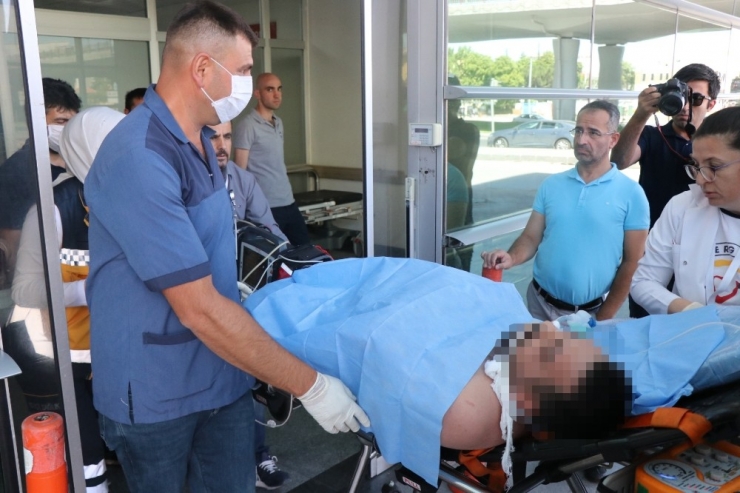 Kurban Kesen Vatandaşı Arı Soktu