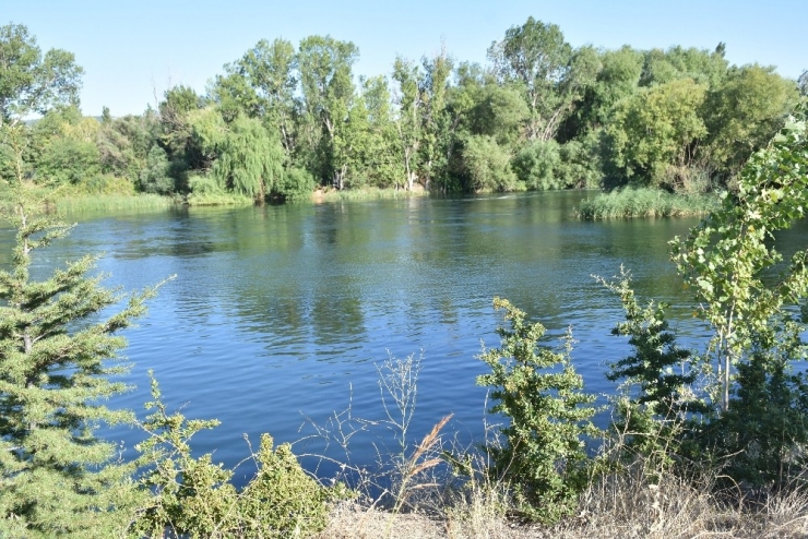 Küçük Çocuk Arkadaşının Terliğini Almak İsterken Nehrin Sularına Kapıldı