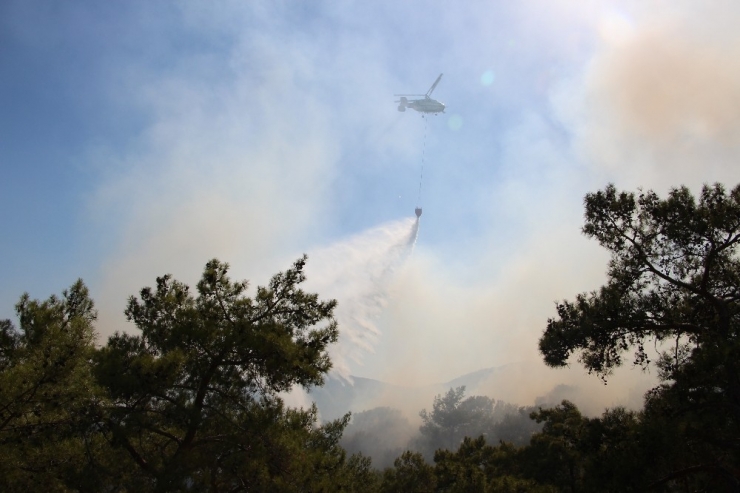 Antalya’da 3 Saat Süren Orman Yangını Kontrol Altına Alındı