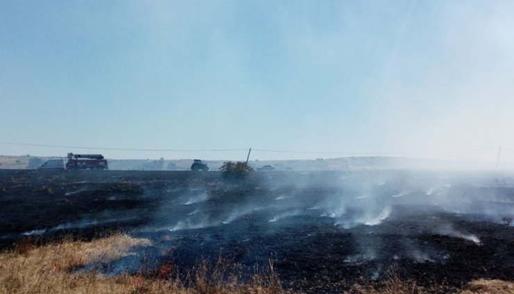Elektrik Tellerine Çarpan Kuş Yangın Çıkardı