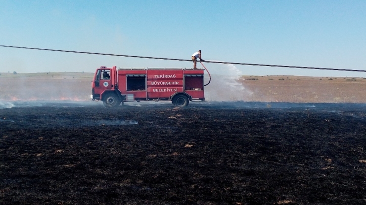 Elektrik Tellerine Çarpan Kuş Yangın Çıkardı