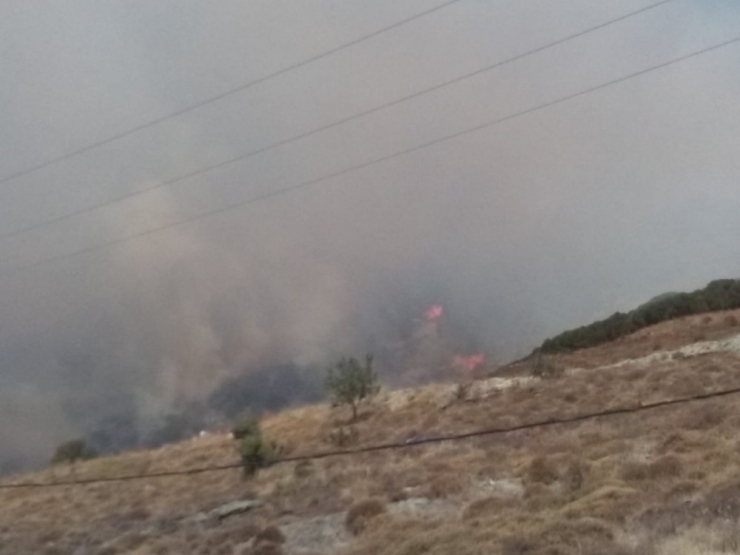 Marmara Adası’nda Orman Yangını