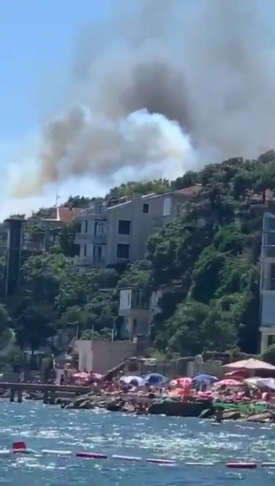 Burgazada’da Korkutan Orman Yangını