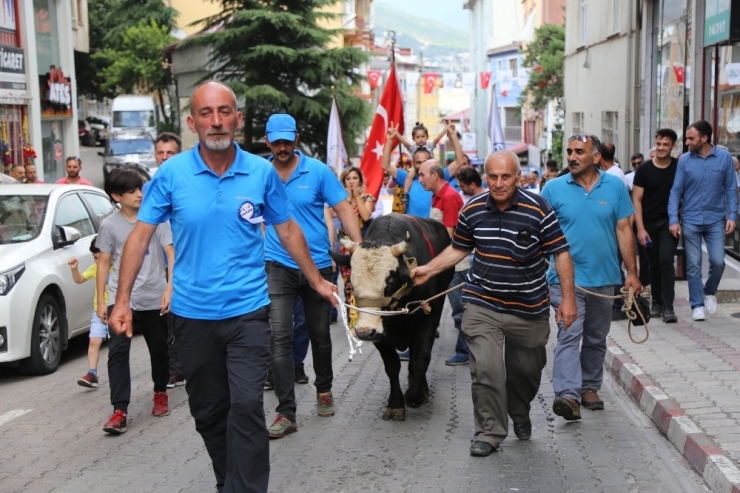 Festivaller Şehri Artvin’de Yılda 84 Festival Yapılıyor