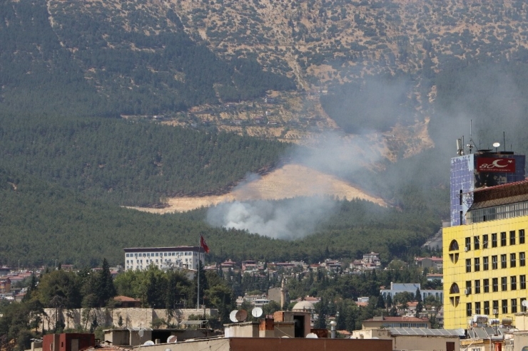 Piknikçiler Ormanı Yaktı