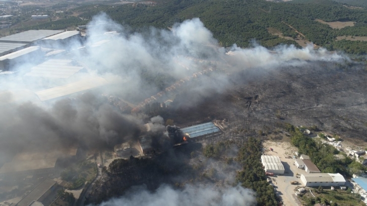 Gebze’de Orman Ve Çalılık Yangını Havadan Görüntülendi