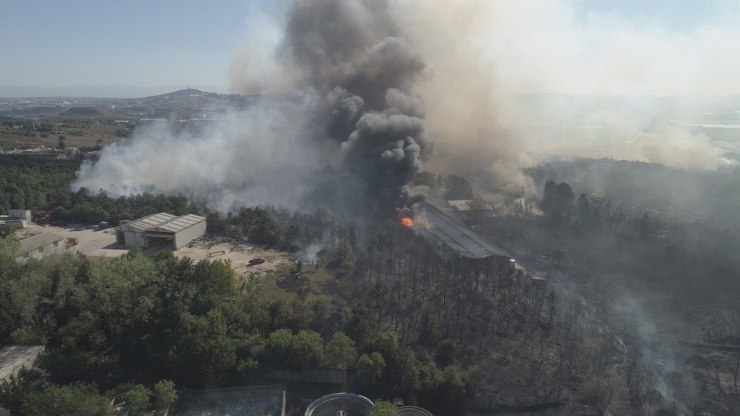 Fabrikaya Sıçrayan Yangında 30 Hektarlık Ormanlık Alan Zarar Gördü
