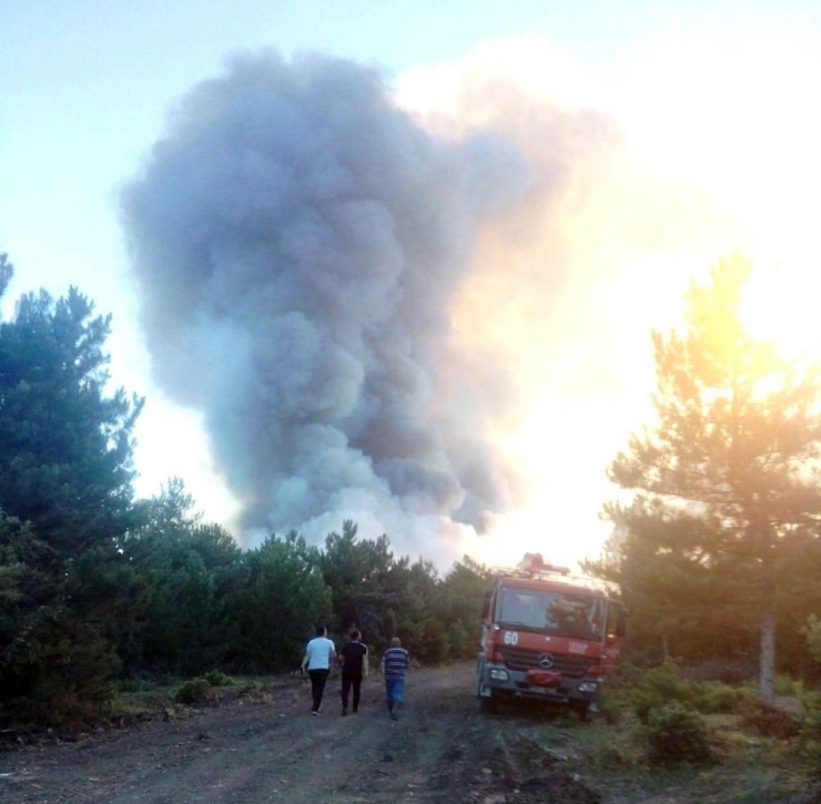 Kütahya’da Orman Yangını