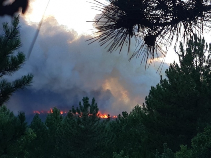 Kütahya’daki Orman Yangına Havadan Ve Karadan Müdahale Ediliyor