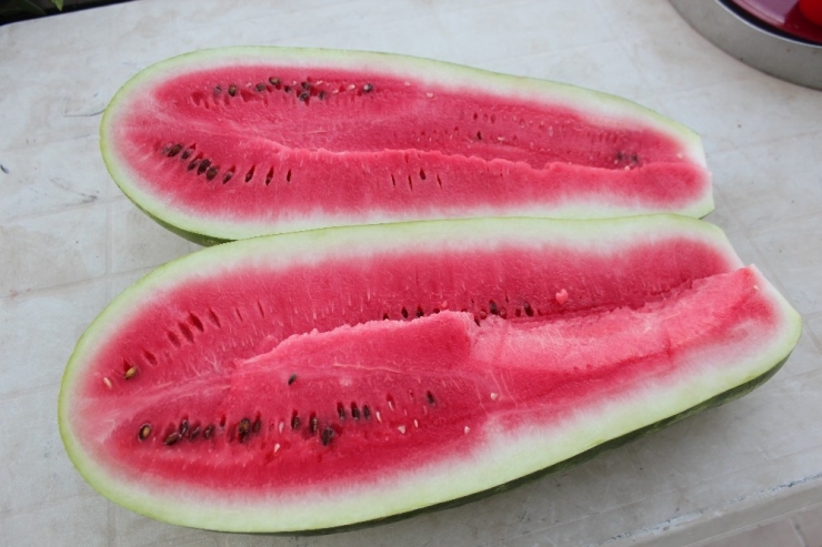 Suudi Arabistan’da Tadına Baktı Türkiye’de Üretti