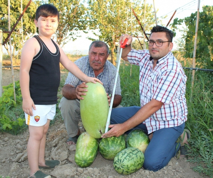 Suudi Arabistan’da Tadına Baktı Türkiye’de Üretti