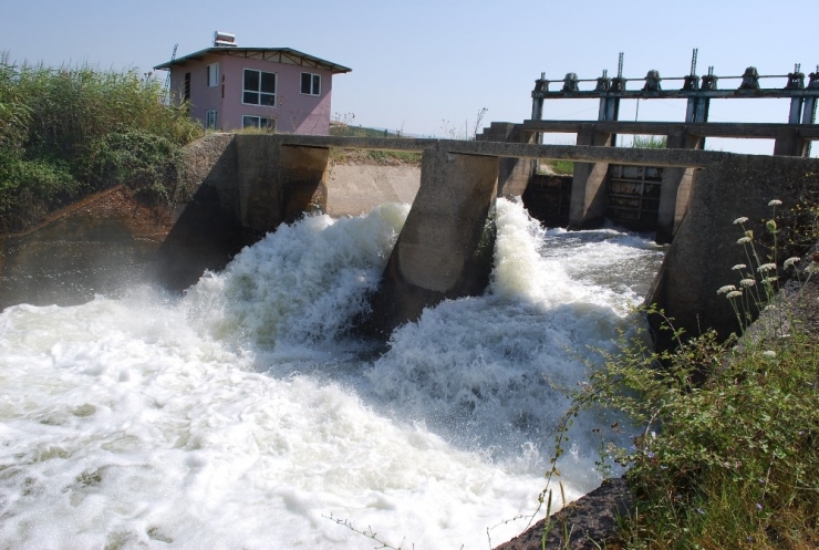 Manisalı Çiftçi Vahşi Sulamadan Kurtulmak İstiyor