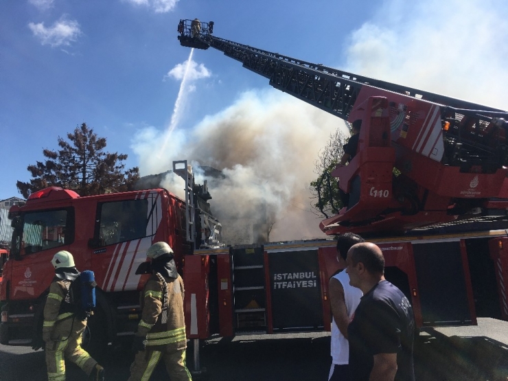 Yangının Çıktığı Binada Mahsur Kalan 2 Yavru Kediyi İtfaiye Kurtardı