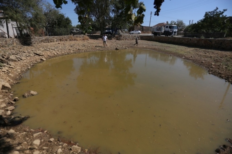 Susuz Kalan Kaplumbağalara Belediyeden Su Takviyesi