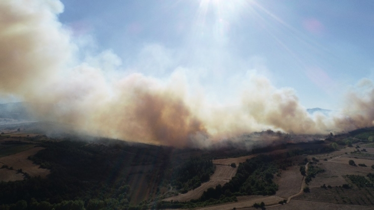Yenişehir’deki Orman Yangınında Yeni Gelişme