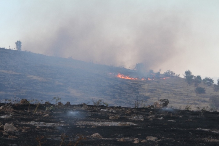 Elazığ’daki Orman Yangını 5 Saatte Kontrol Altına Alındı