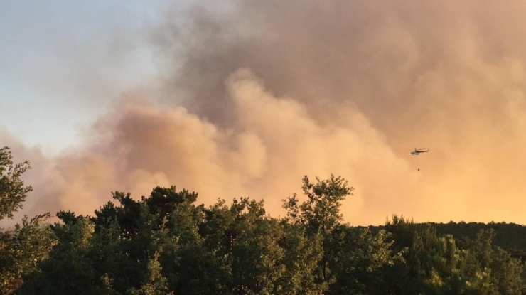 Eskişehir’de Orman Yangını