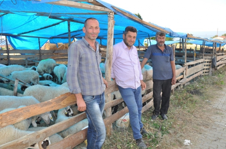 Kurbanlıklar Elde Kaldı