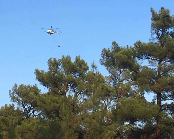 İzmir’de Orman Yangını