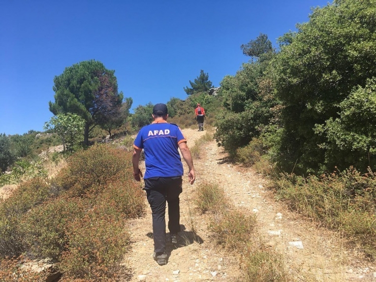 Alzaymır Hastası Kadından Haber Alınamıyor