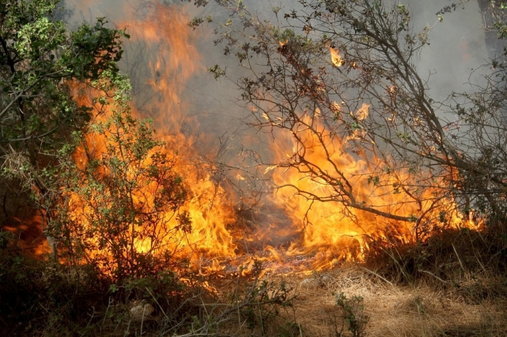 Havuzu Bırakıp Yangına Koştular