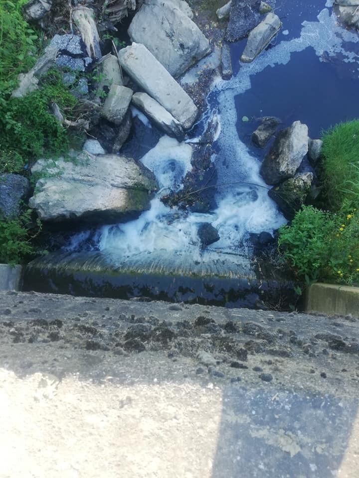 Çınarçık Deresi’ndeki Balık Ölümlerine Muhtardan Tepki