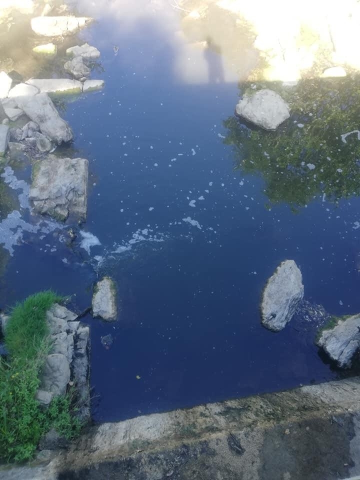 Çınarçık Deresi’ndeki Balık Ölümlerine Muhtardan Tepki