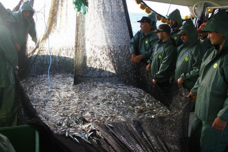 Samsun Deniz Avcılığının Merkezi Oldu