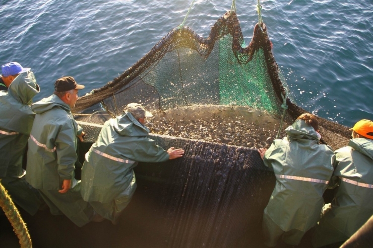 Samsun Deniz Avcılığının Merkezi Oldu
