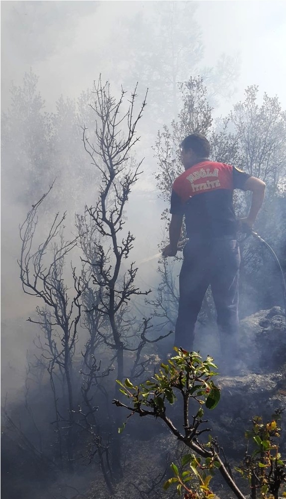 Yangına İtfaiyeden Zamanında Müdahale